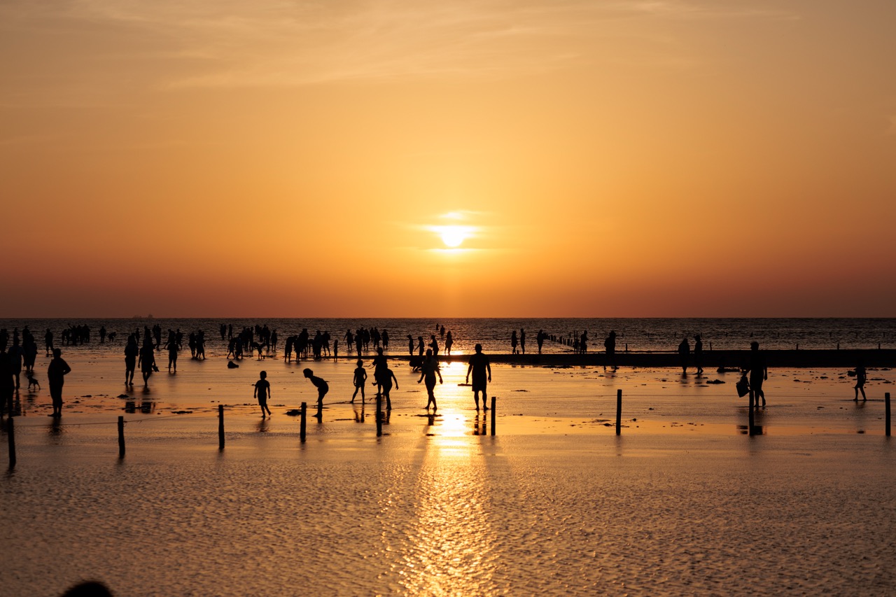 高美湿地