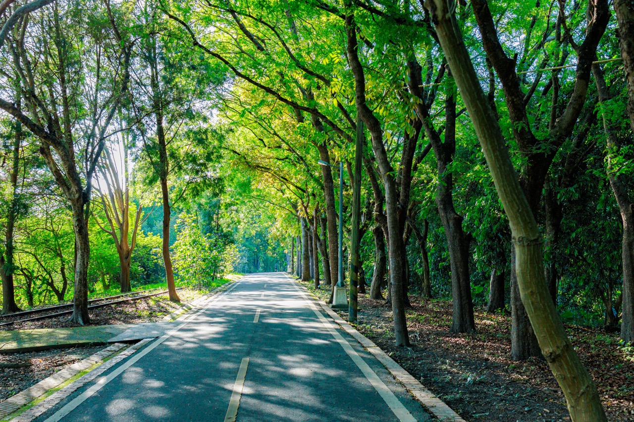 台中后豐鐵馬道